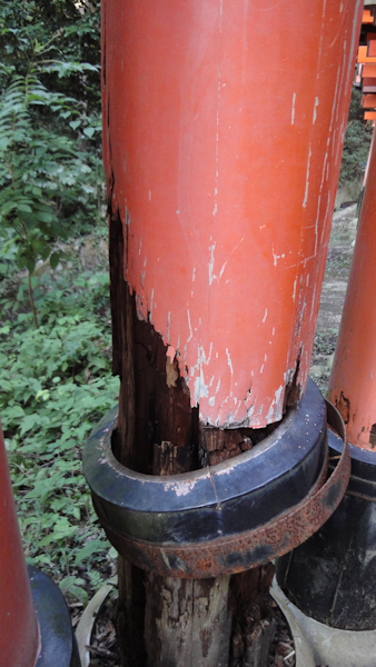a weathered base of one of the gates.  Metal rings loosely surround the wood.